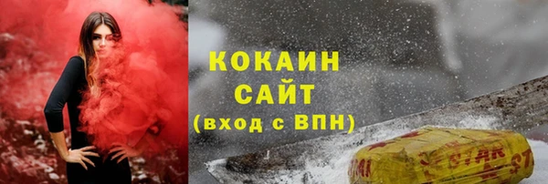 сатива Кукмор