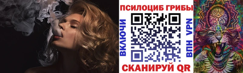 Галлюциногенные грибы Psilocybe  продажа наркотиков  Макушино 